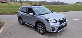 Subaru Forester SK Hybrid 2021 - Leasing possible