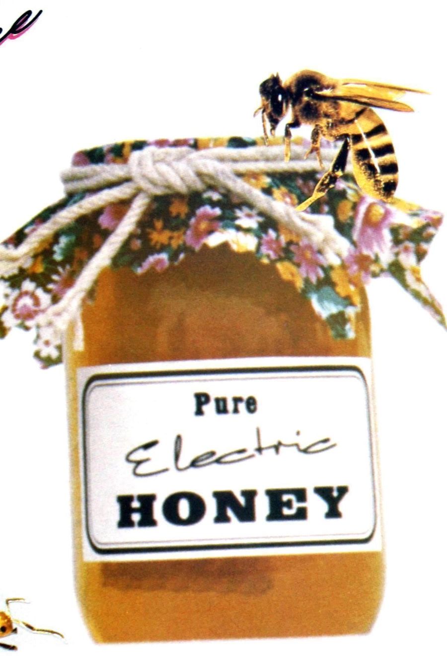 CD: ANT-BEE: Pure Electric Honey – Usato da Bern venduto da vinyl-heaven