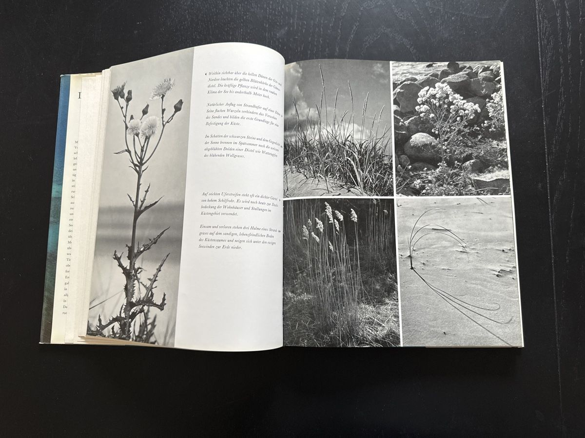 Bücher: Das Meer – Gebraucht aus Erstfeld von Uhu1980 3