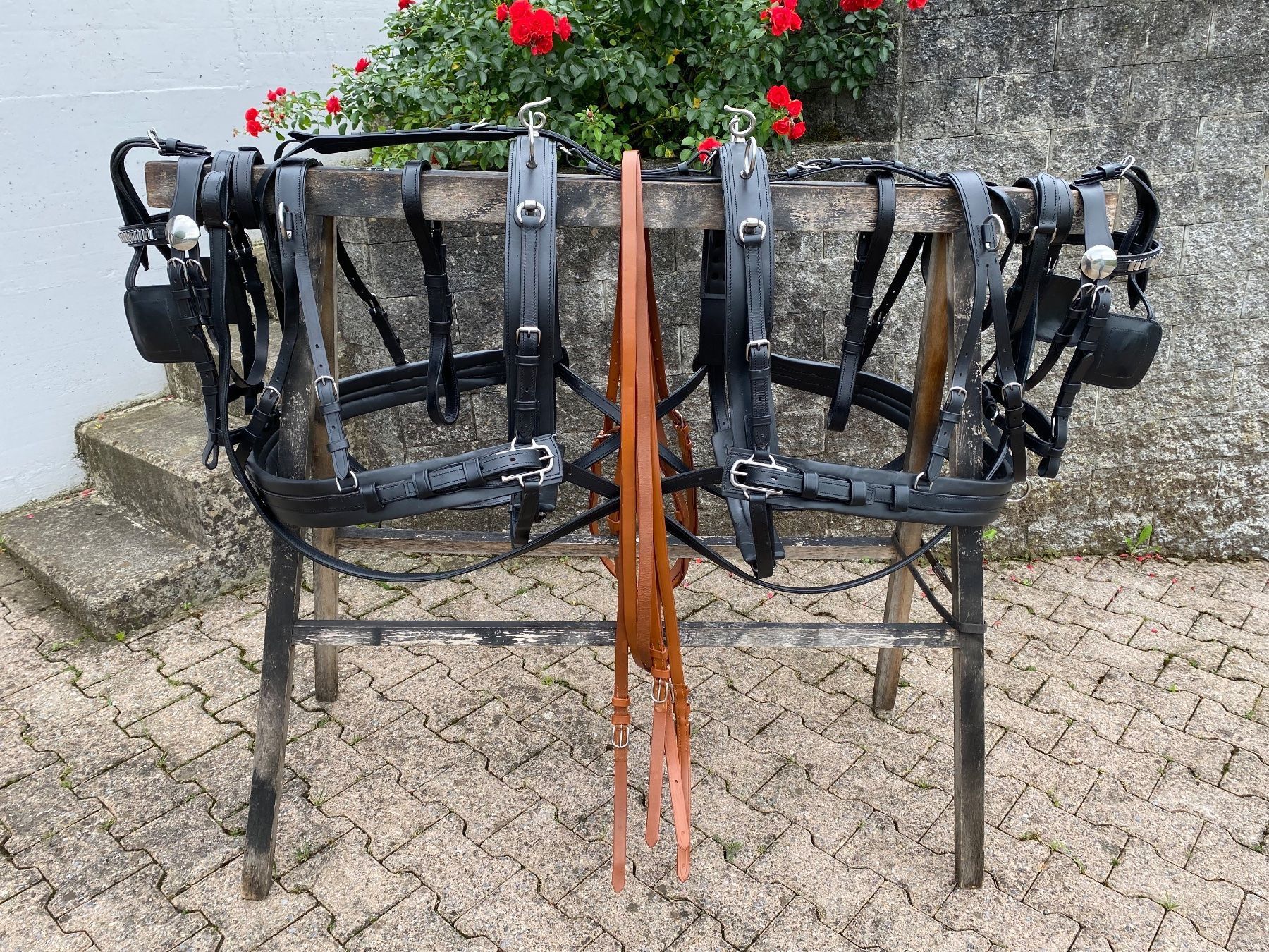Kutschen: 1 Paar schöne zweispännige Ponygeschirre – Gebraucht aus Feldbach von Fea1 2