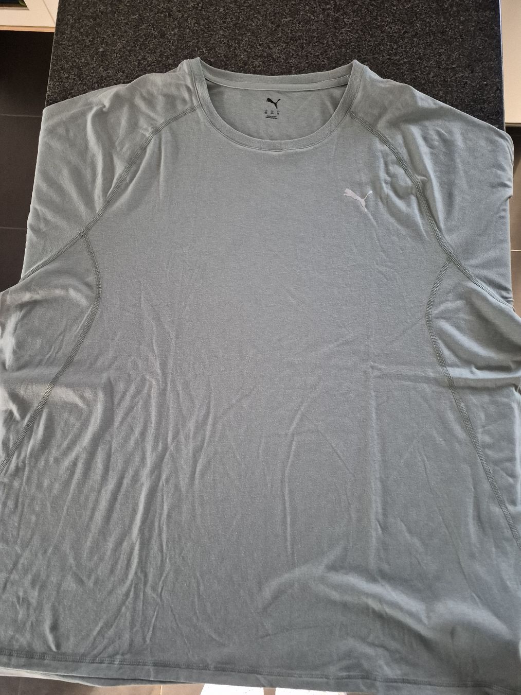 Puma T-shirt: Puma T-Shirt Gr. 3XL – Usato da Lyss venduto da Isa3250
