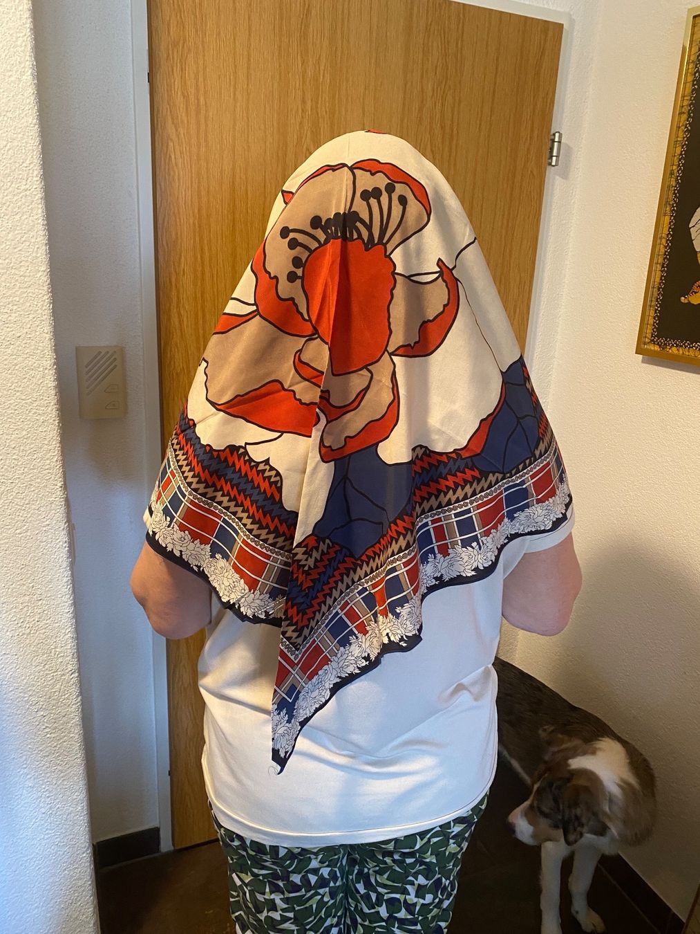 Lanvin Foulard & Sciarpe: Seidenfoulard 3 eckig – Usato da Russikon venduto da Honolulu-2019 1