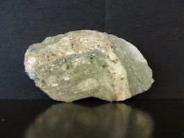 Versteinerter Dinosaurier Fossil KNOCHEN SCHEIBE UTAH USA