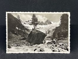 Glacier du Trient et Pte d'Orny 3278m