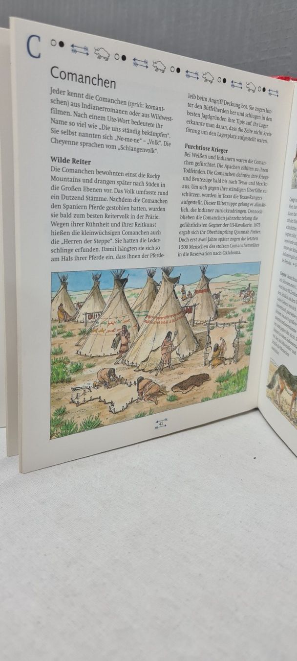 Libri: Meyers grosses Indianerlexikon – Usato da Sins venduto da sagitarius58 3