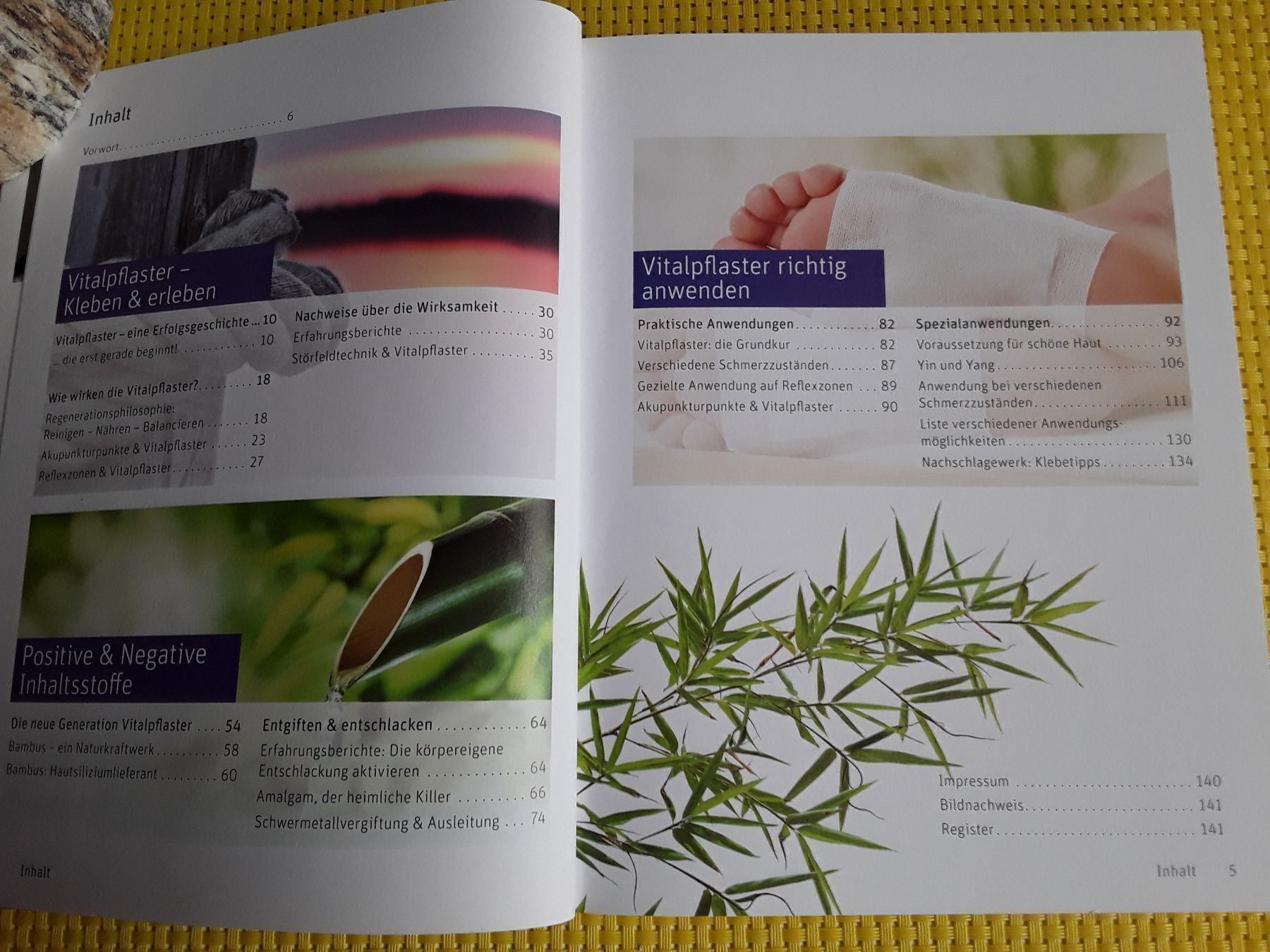 Libri: Das Vitalpflasterbuch – Nuovo e nell'imballaggio originale da Rebstein venduto da Buchsi03 3