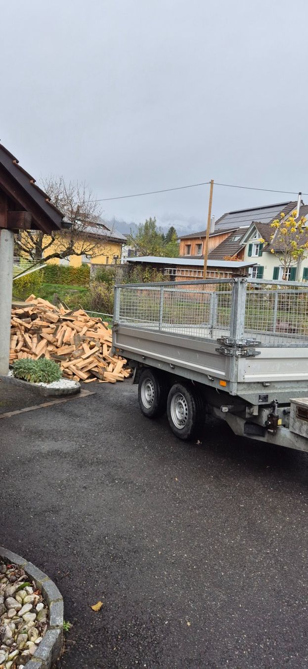 Articoli in legno: Brennholz Buche – Usato da Grabs venduto da brennholz_bruno 4