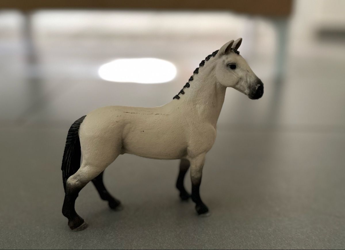 Schleich Giocattoli: Scleich Pferde – Usato da Fislisbach venduto da TamaCh81 3