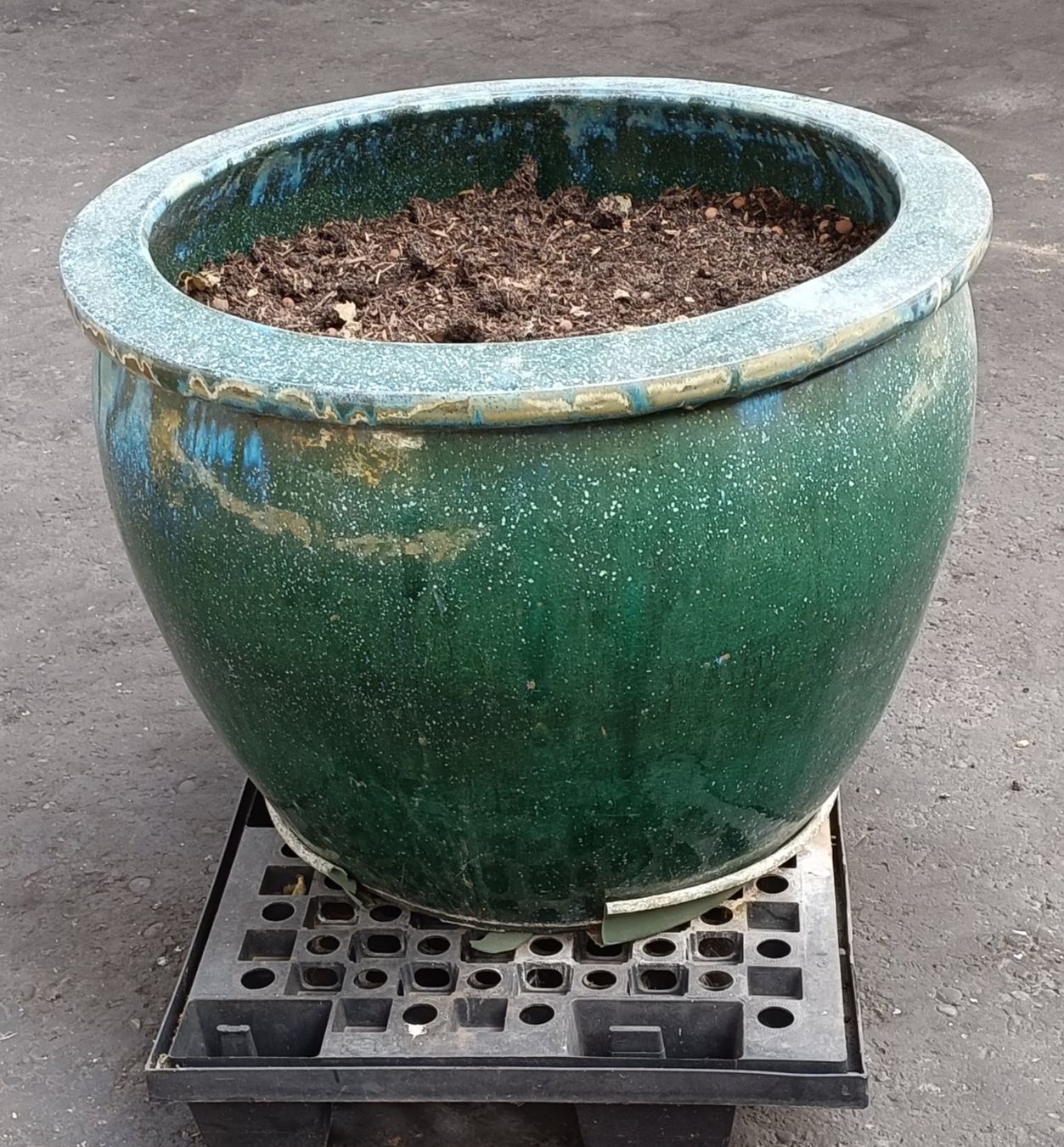 Vasi per fiori: grosser Blumentopf D: 76 cm – Usato da Däniken SO venduto da thumbnail