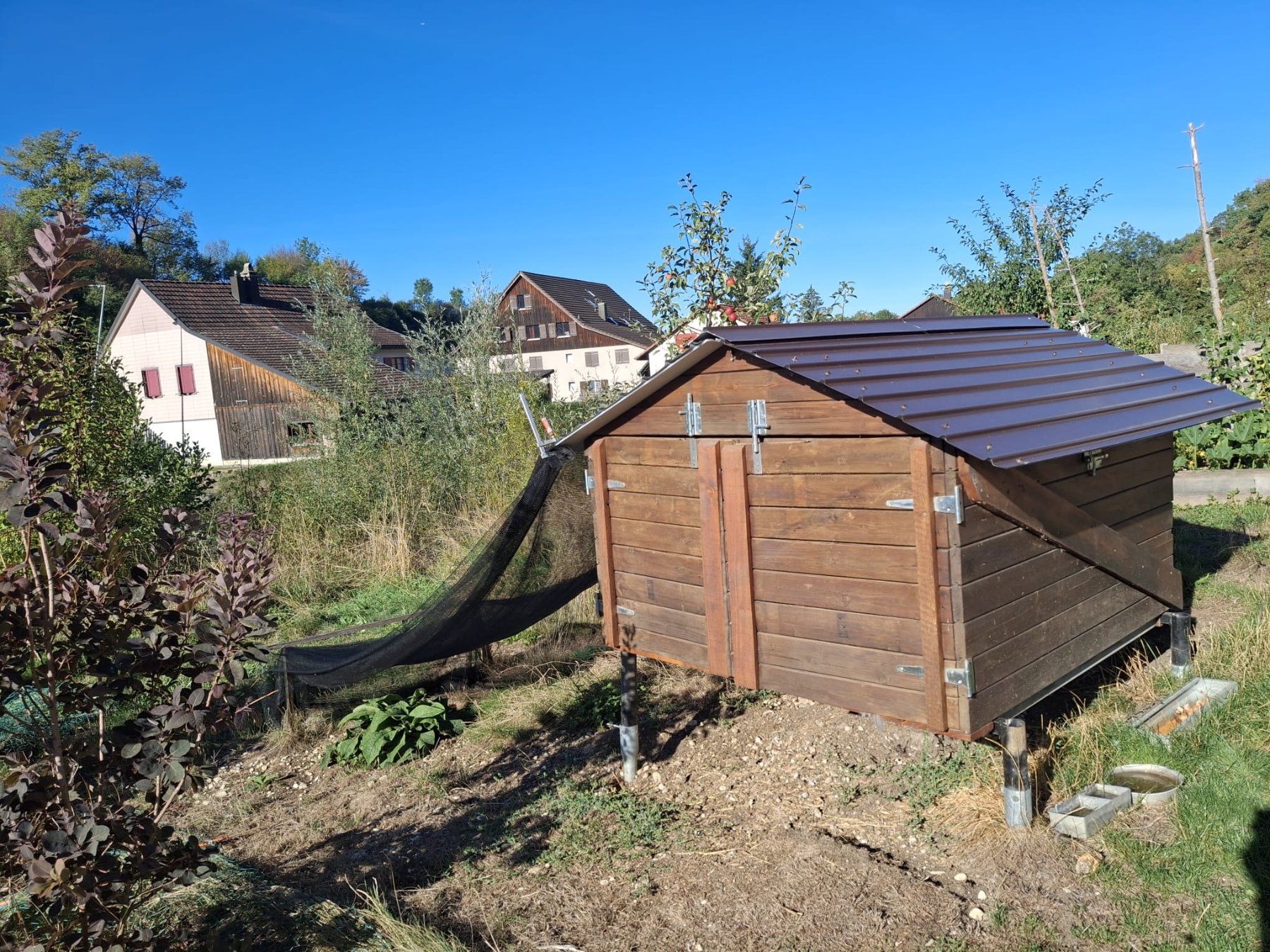 Poulailler pour 6 poules / porte automatique solaire (Gebraucht) in ...