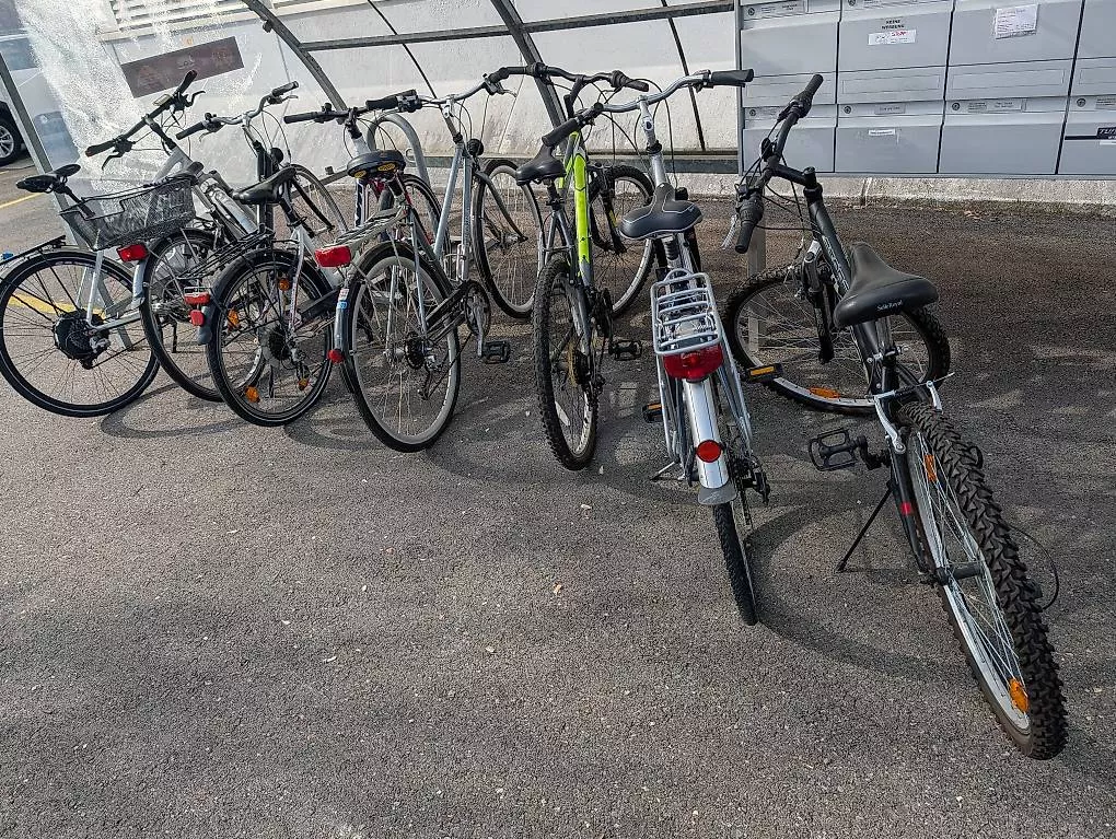 Biciclette: Stone Velo – Usato da Rorbas venduto da philips1 2