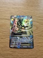 Pokemon M Steelix EX 109/114 Card FR