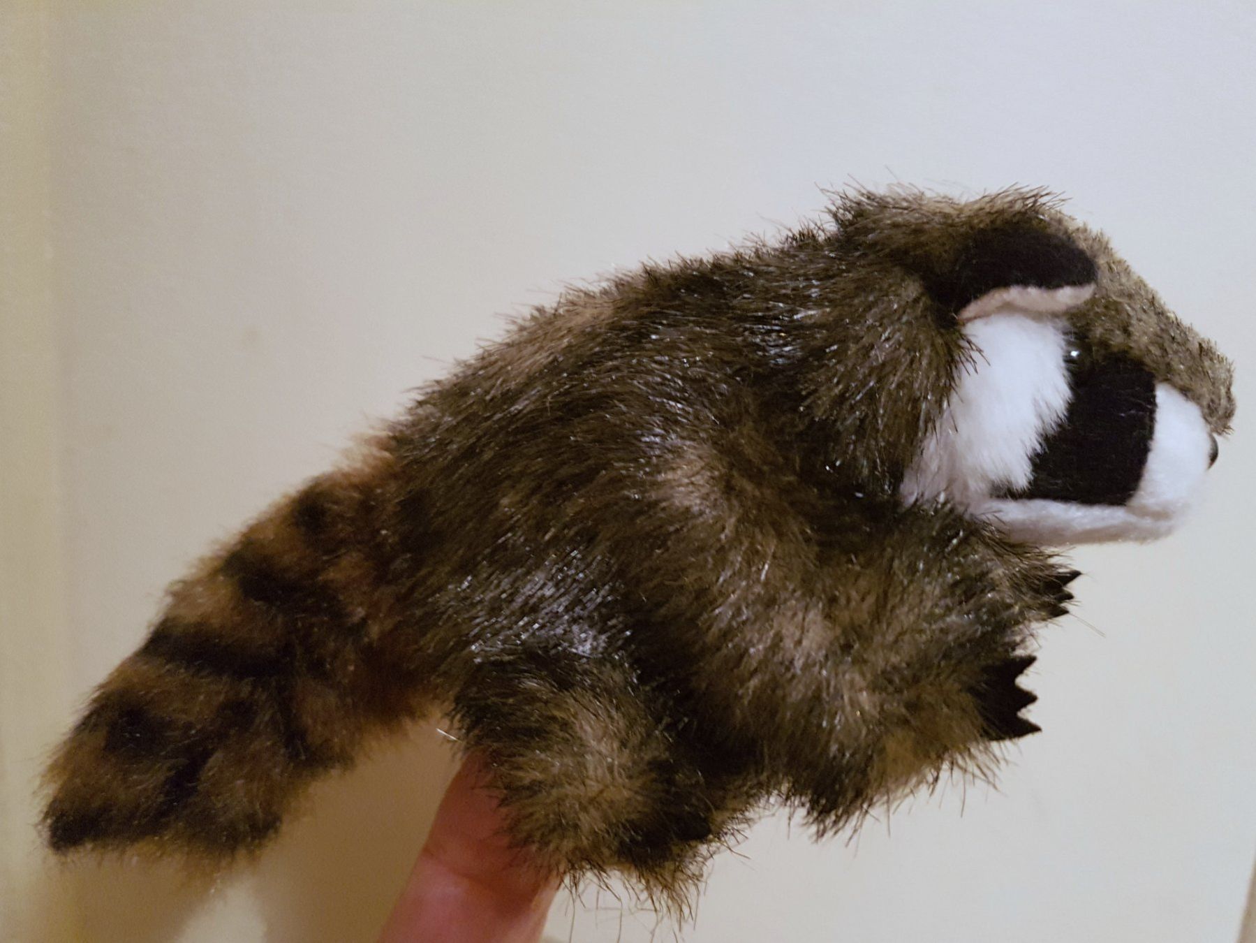 Bambole: FOLKMANIS: Fingerpuppe Waschbär  / NEU – Nuovo e nell'imballaggio originale da Dürrenäsch venduto da Didaedi 5