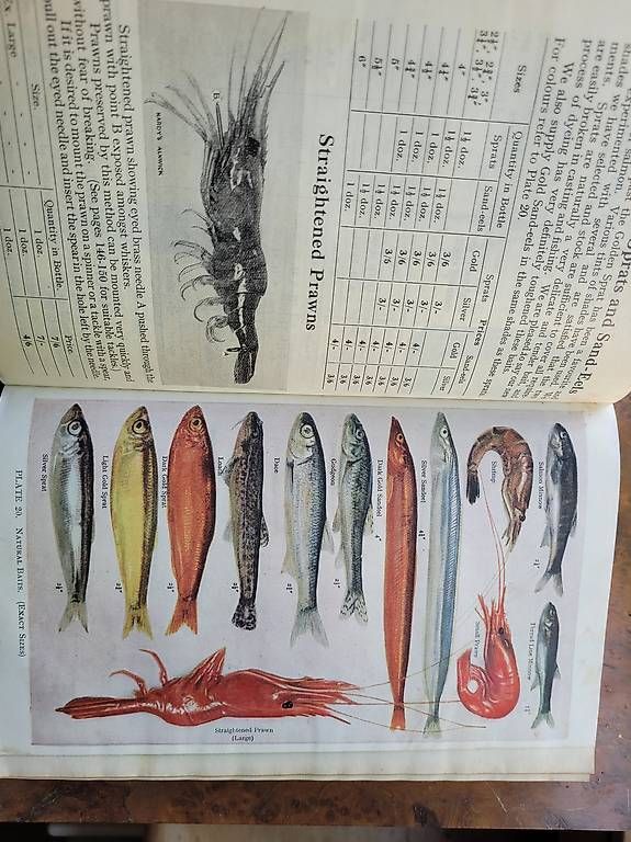 Libri: Fischen Fliegenfischen Hardy's – Usato da Kriens venduto da Storch 3