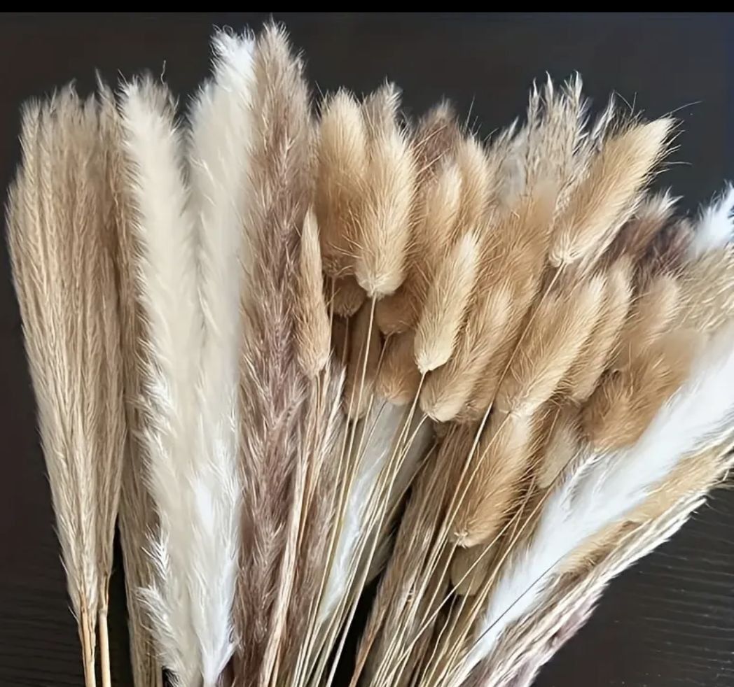 Tutte le decorazioni: Trocken Blumen weiss/beige – Nuovo e nell'imballaggio originale da Steinmaur venduto da Elfenfee
