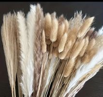 Trocken Blumen weiss/beige