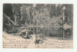 1901, Gruss von der Pension Axalp bei Brienz, Rarität