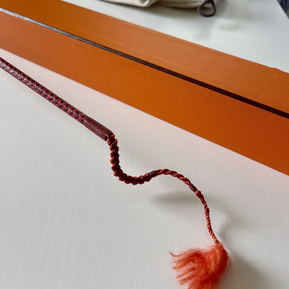 Altro in Accessori per animali: HERMES Whip – Nuovo e nell'imballaggio originale da Emmen venduto da Avviivva_Com2023 4