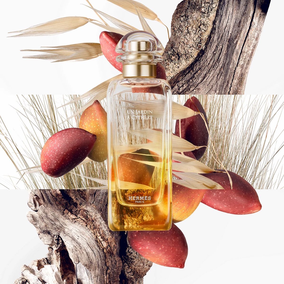 Hermès Profumi & Eau de Toilette: Hermes - Un Jardin à Cynthère EDT 2ml – Nuovo (secondo la descrizione) da Therwil venduto da blubblubblubb