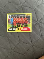 Panini sticker Belgium Team, BEL 13