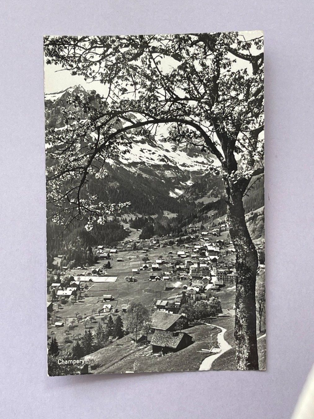 Cartoline postali: Champéry – Usato da Steg VS venduto da _vinci_