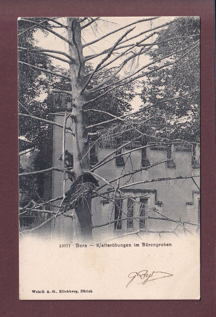 Cartoline postali: BERN - Bärengraben - 1912 // Eckbug // – Usato da Pully venduto da nicecards