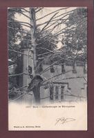 BERN - Bärengraben - 1912 // Eckbug //