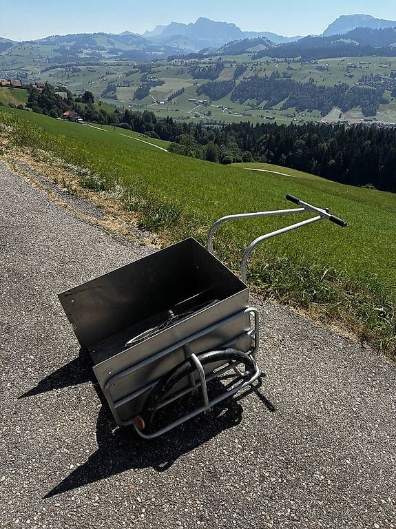 Rimorchi: Velo/Mofa Anhänger – Usato da SCHÜPFHEIM venduto da Baby30 2
