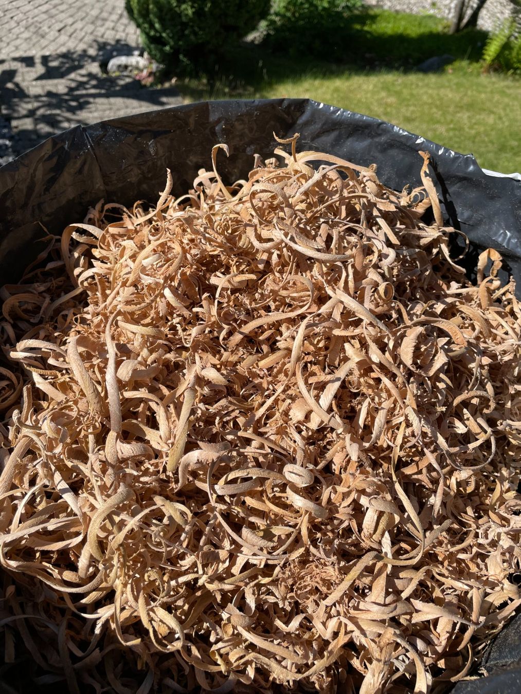 Articoli in legno: Holzspäne, Ulme, Hartholz – Usato da Eschenbach SG venduto da die_tzb9 1