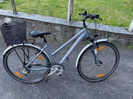 Bicicletta da donna