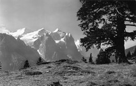 Hasliberg BE Mäggisalp Panorama Wetterhorngruppe