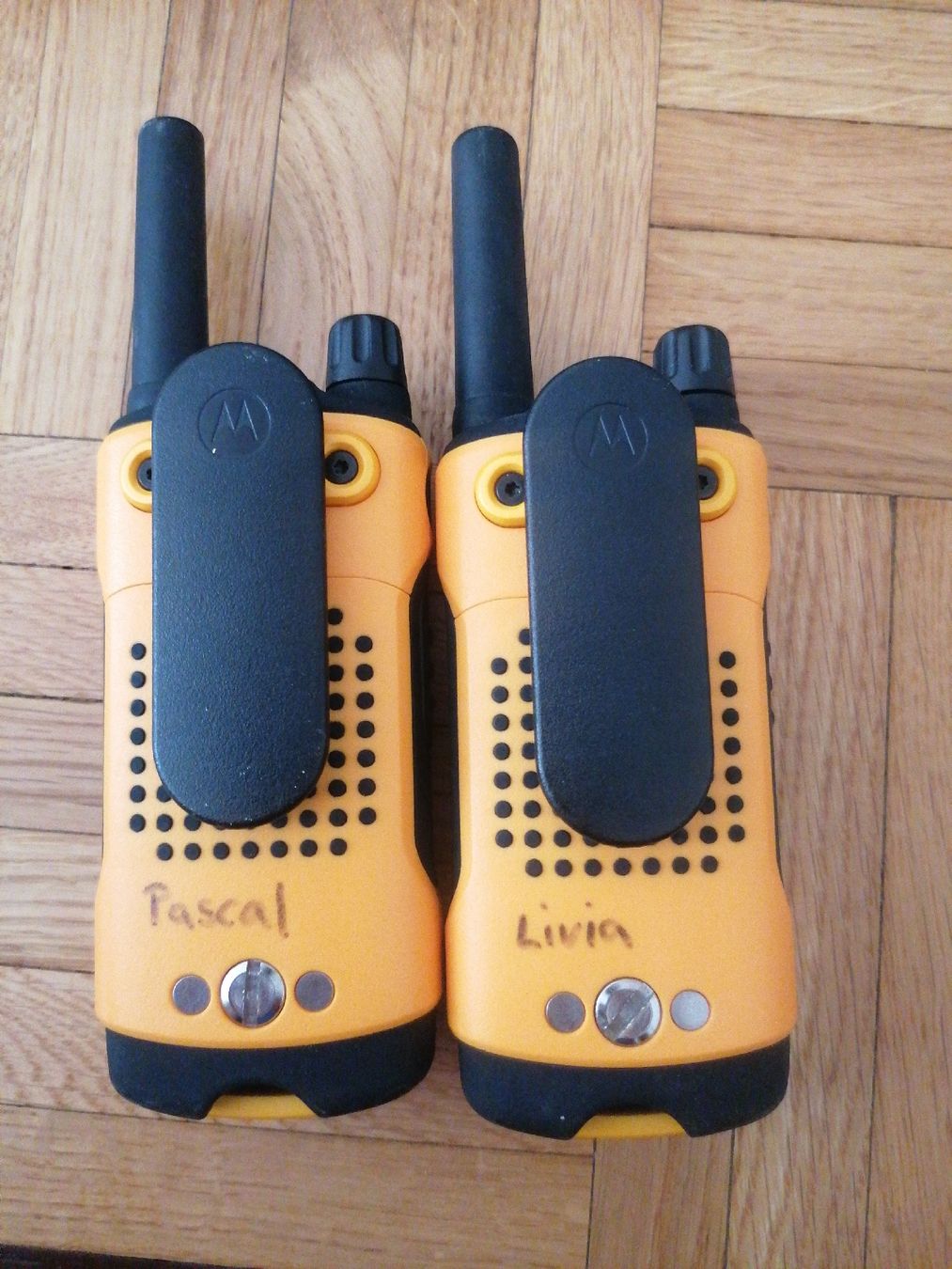 Motorola Funktechnik: Motorola Walkie – Gebraucht aus Lausanne von Frankenstein 2