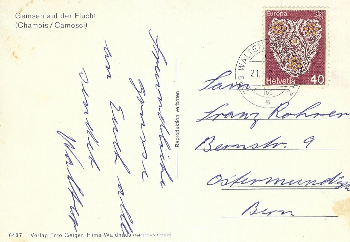 Cartoline postali: ASK Gemsen auf der Flucht, Chamois – Usato da Kloten venduto da Kloetip 1