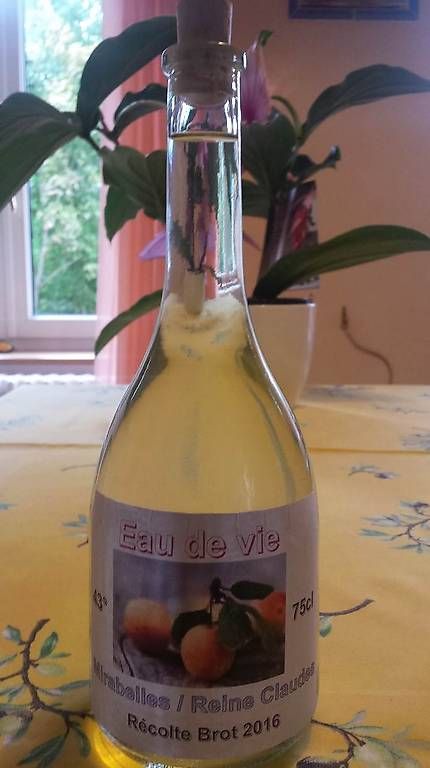 Spirituosen: Mirabelle fait maison 75cl. – Gebraucht aus Bôle von Benedetto72 2
