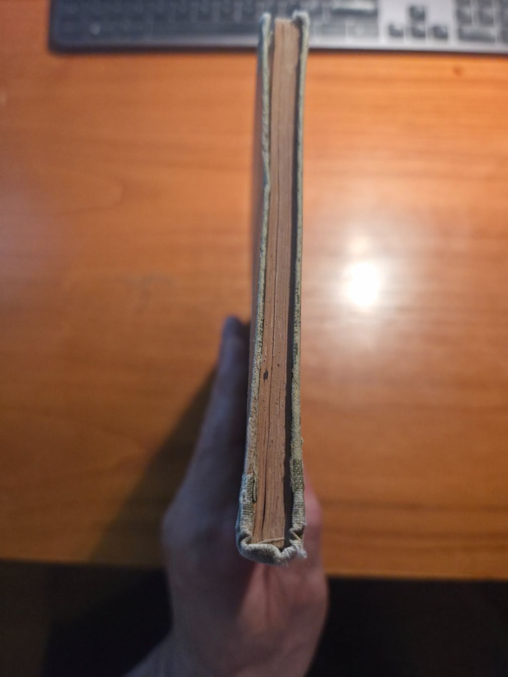 Libri: Meierhofer: Leitfaden der Naturkunde – Botanik, Zürich 1918 – Usato da Aldesago venduto da lusuardi 3