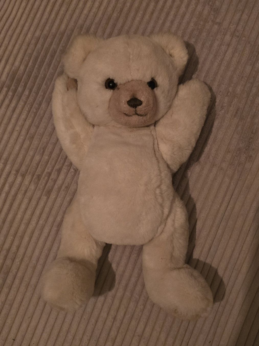 Steiff Giocattoli: Steiff Teddybär beige guter Zustand – Nuovo (secondo la descrizione) da Würenlos venduto da Lea.Maria.Hotz 2