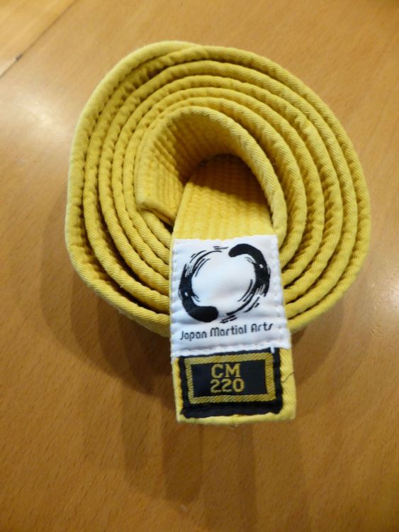 JUDO/ KARATE GÜRTEL GELB 220CM Kaufen auf Ricardo