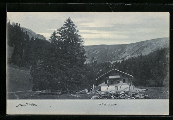 Cartoline postali: AK Adelboden, Restaurant mit Scherntann – Usato da Berlin venduto da bartko-reher
