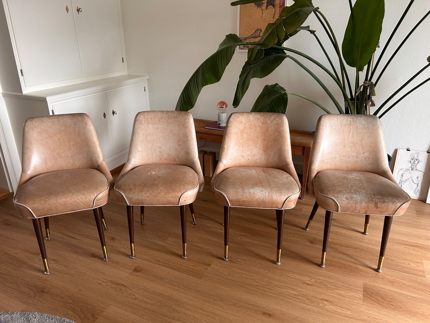 Sedie: 4 Lederstühle beige – Usato da Zürich venduto da schokomousse