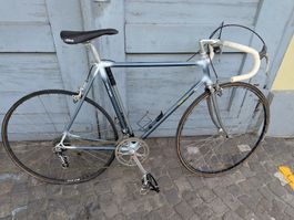 Rennvelo Gerber