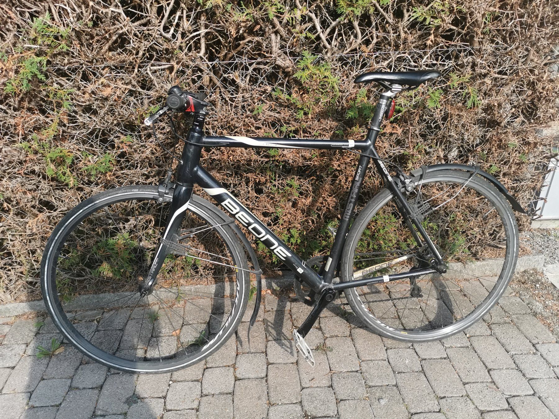 Biciclette: Carbonvelo – Usato da Elsau venduto da Bruno171