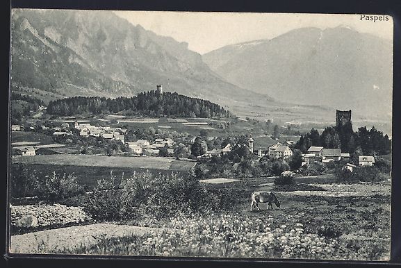 Cartoline postali: AK Paspels, Totalansicht vom Feld aus – Usato da Berlin venduto da bartko-reher