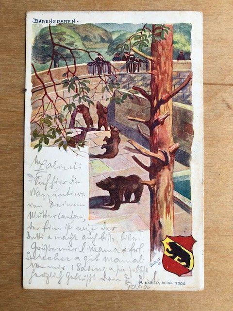 Ansichtskarten: Antike Postkarte, Bärengraben, Bern, 1899 – Gebraucht aus Basel von sar_9jj8