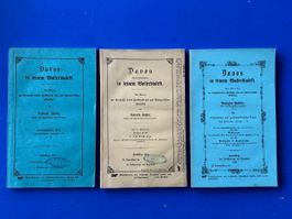 Davos in seinem Walserdialekt. 3 Bände 1870/1879