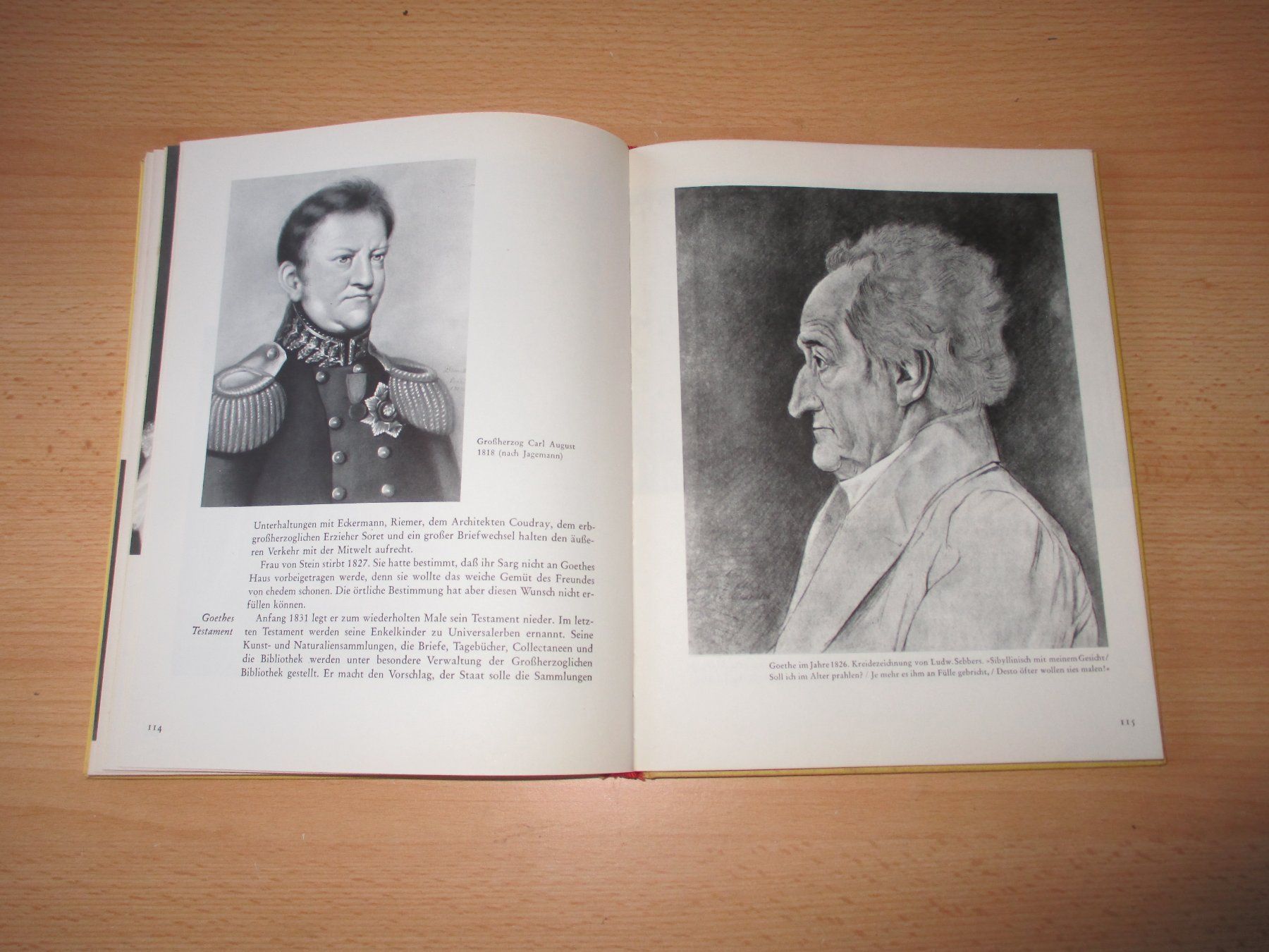 Libri: GOETHE  Bildbiographie – Usato da Flims - Dorf venduto da Stagediver 9
