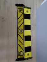 Schals BSC Young Boys 2 Stk. Gelb-Schwarz