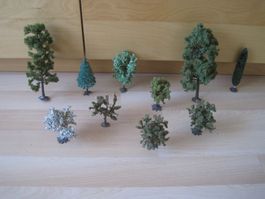 Viele Bäume bis 20cm gross wie Echt   HO LOT B
