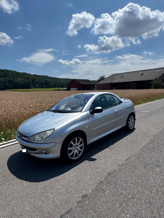 Peugeot Automobili: PEUGEOT 206 1.6 Cabrio – Usato da Embrach venduto da Lufi68 7