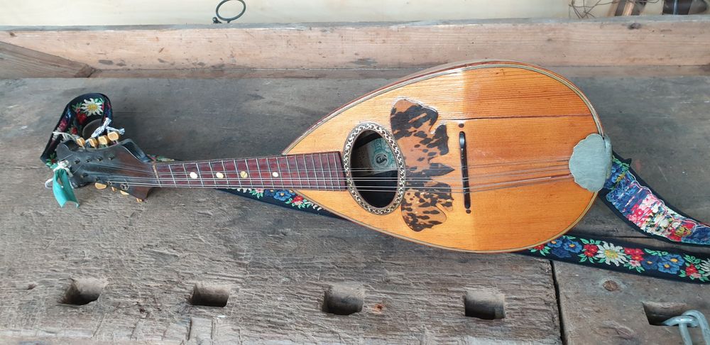 Mandoline Raffaele Calace (Gebraucht) in Emmen für CHF 90 – mit ...