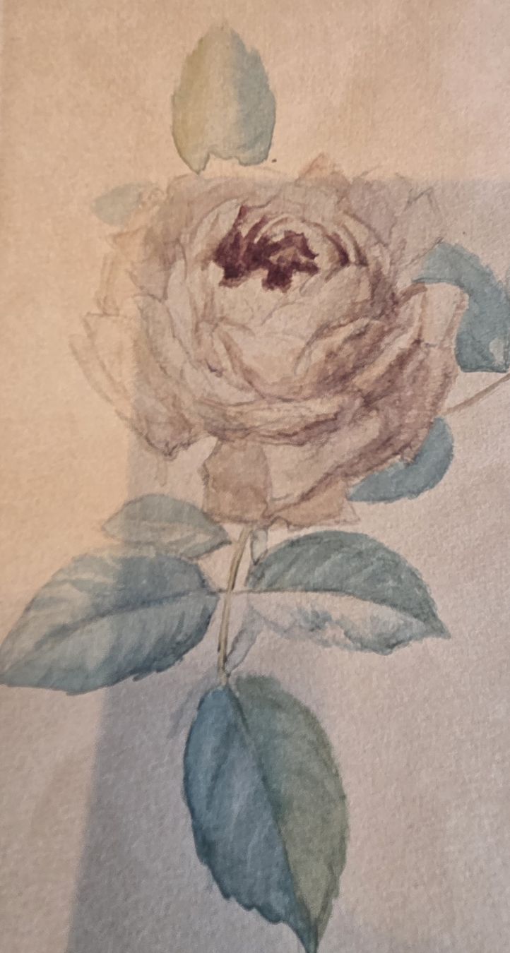 Dipinti: Original Aquarell Rose handgeschöpftes Papier – Usato da Rehetobel venduto da hobirot01 6
